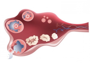 OVULATION 101: KNOWING IF AND WHEN YOU’RE ‘IN THE GAME’ - THE LUCKY EGG