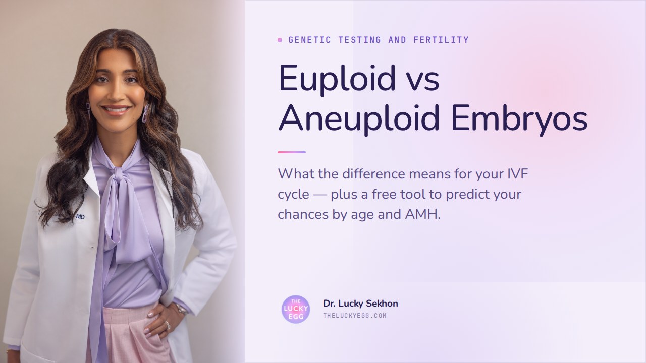 Euploid vs Aneuploid Embryos — and Your Chances by Age